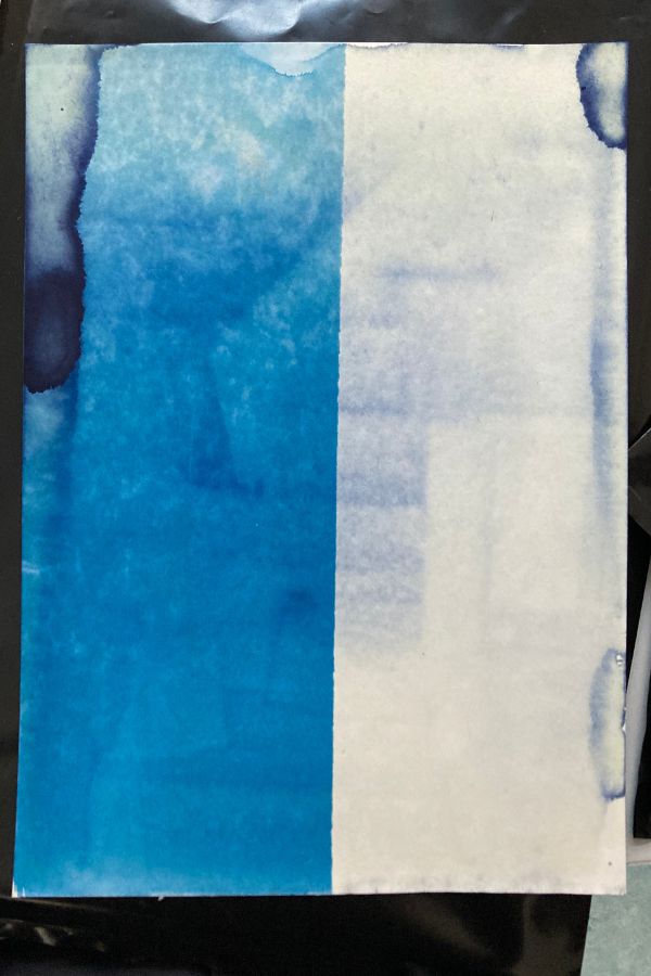 EIn Cyanotypie-Negativ das auf einer Seite blau zugelaufen und auf der anderen Seite hell ausgefressen ist.