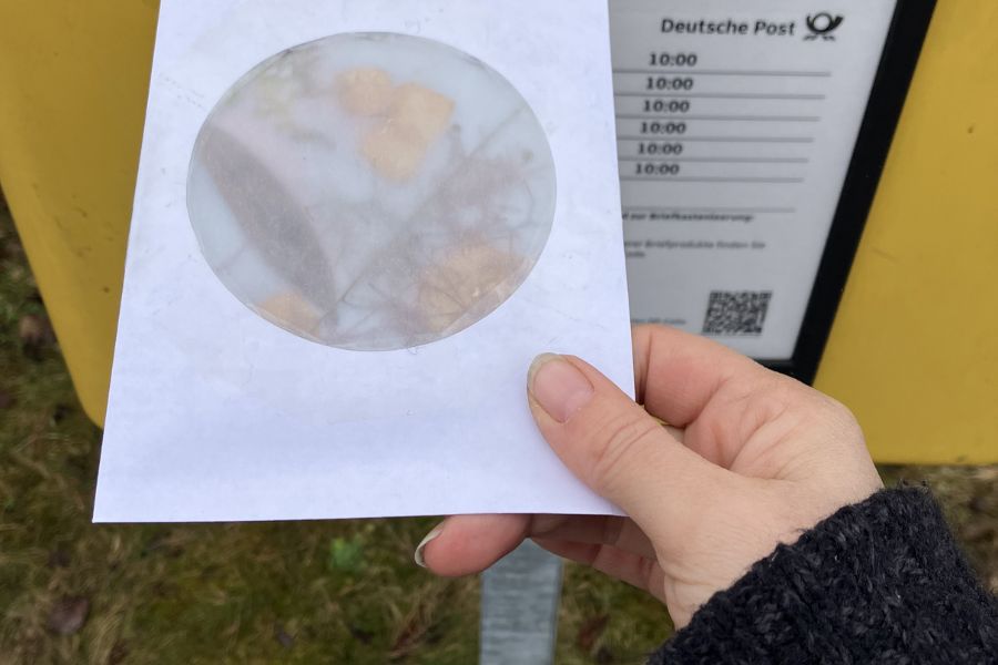 Ein Brief mit rundem Sichtfenster und erkennbaren Pflanzenteilen wird in einen Briefgasten gesteckt.