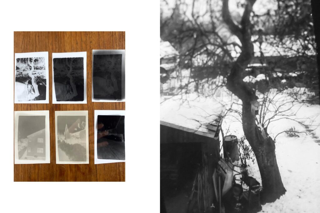 6 Papiernegative von gartenansichten und ein ausgearbeitetes Foto. EIn Baum und ein Schuppen, in der Mitte scharf, nach oben und unten stark unscharf.